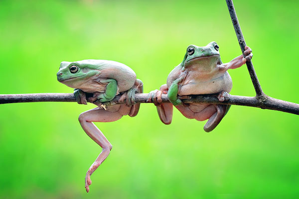 Photograph Sandi Nopri Yanto  Jeles on One Eyeland